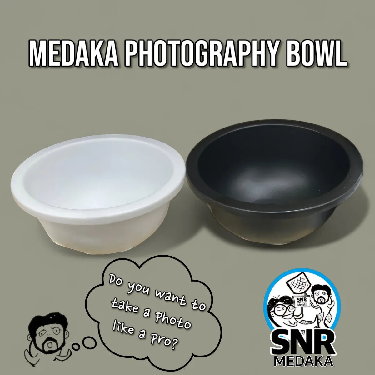 Medaka Rice Fish Bowl Matte Sorting and Photography of Ricefish (Small Sized)