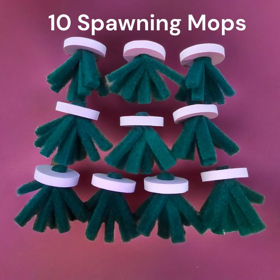 thumbnail image 2 of 3x Spawning Mop For Aquarium – Medaka, Killifish, Catfish Breeding Aid – Synthetic Green 2 of 6