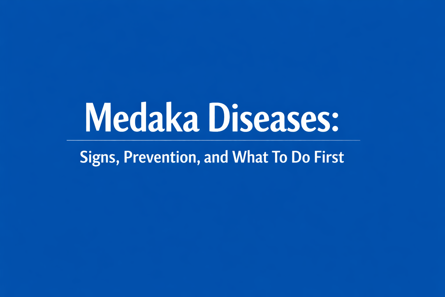 Medaka Diseases: Signs, Prevention, and What To Do First