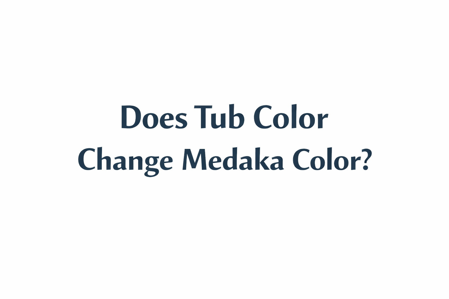 Does Tub Color Change Medaka Color?