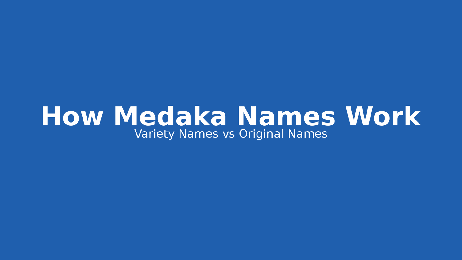 How Medaka Names Work