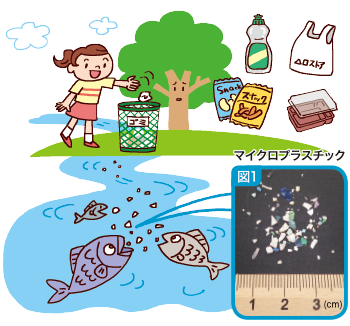 Toxic Truth: Why You Should Avoid Silver & Microplastics