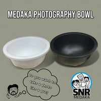 Medaka Rice Fish Bowl Matte Sorting and Photography of Ricefish (Small Sized)