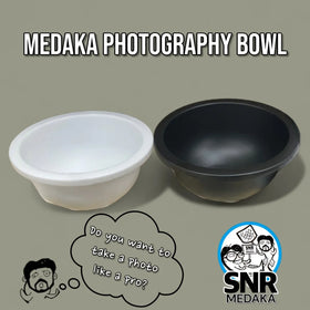 Medaka Rice Fish Bowl Matte Sorting and Photography of Ricefish (Small Sized)