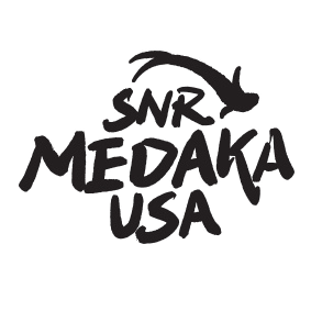 SNR Medaka USA
