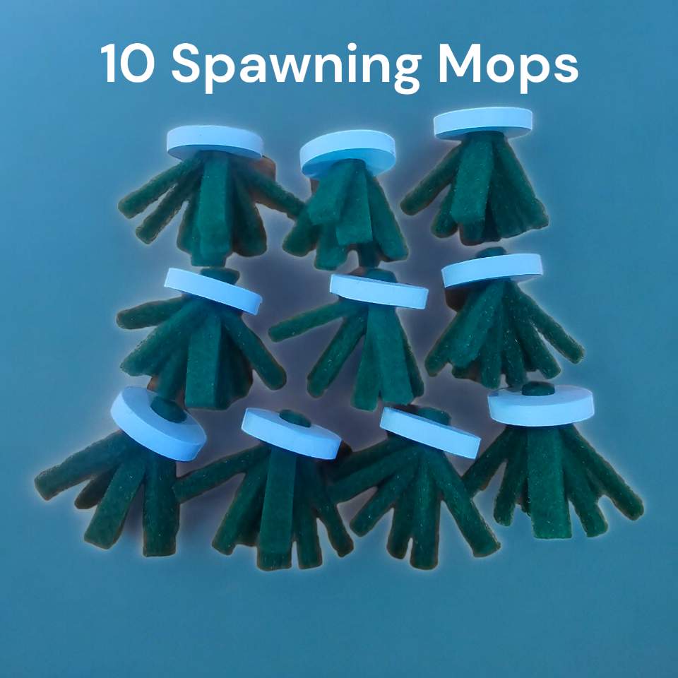 10 Medaka Rice Fish Spawning Bed & Floating Ring Medaka Spawning Substrate Kit