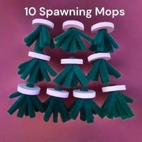 10 Medaka Rice Fish Spawning Bed & Floating Ring Medaka Spawning Substrate Kit