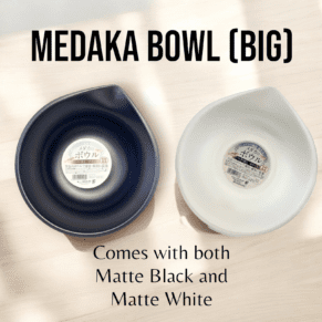 Medaka bowls